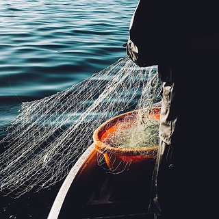 В сети рыбаков попал кусок драгоценной амбры стоимостью 36 миллионов рублей