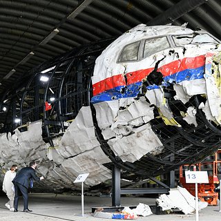 Гаагский суд заявил о принадлежности сбившего MH17 ЗРК к российской армии
