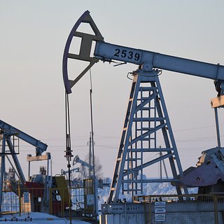 Подсчитаны доходы России от нефти и газа