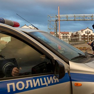 Российские полицейские задержали поджигавшего автомобили с символом Z инженера