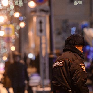 МВД России оценило обстановку в новогоднюю ночь