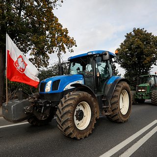 Польша потребовала ввести пошлины на украинскую сельхозпродукцию