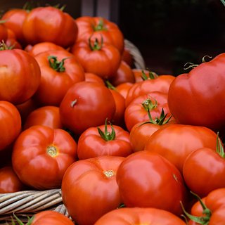 В России нашли способ снизить цены на помидоры и огурцы