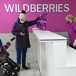 В Госдуме раскрыли детали встречи с бастующими сотрудниками Wildberries