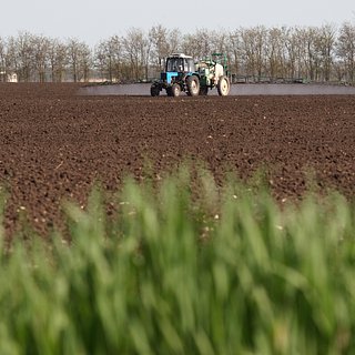 Российские фермеры начали экономить на удобрениях