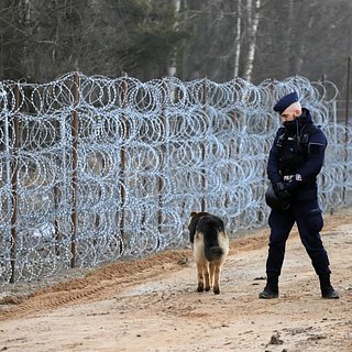 Польско-белорусскую границу собрались усилить