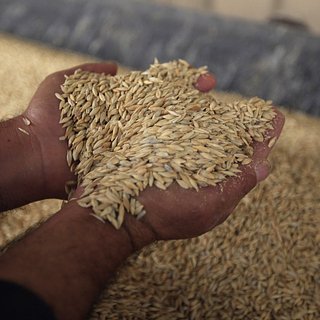 Песков заявил о прекращении договоренностей по зерновой сделке