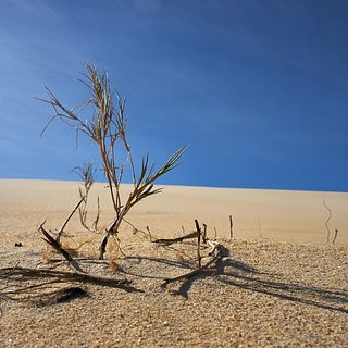 Европу предупредили о рекордной жаре из-за теплового взрыва в Сахаре