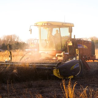 Украинские власти заявили о повреждении пунктов хранения зерна на юге страны