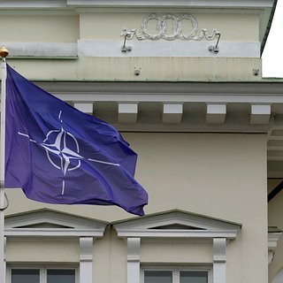На Западе раскритиковали НАТО из-за Украины