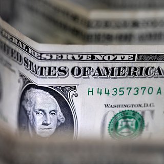 Банк БРИКС заявил о «запрограммированном» в его ДНК долларе
