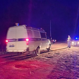 Опубликован список пассажиров разбившегося в Тверской области самолета