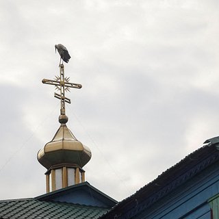 Украинский депутат рассказал о планах объединить ПЦУ и греко-католиков
