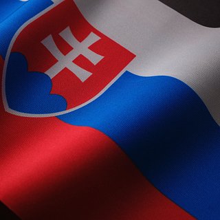 Словакию назвали новым возможным союзником России