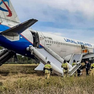 Появились новые подробности аварийной посадки российского самолета в поле