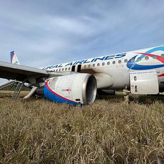 Пассажирка севшего в поле самолета Airbus рассказала про треск после взлета
