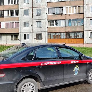В российском регионе женщина убила двух детей и покончила с собой