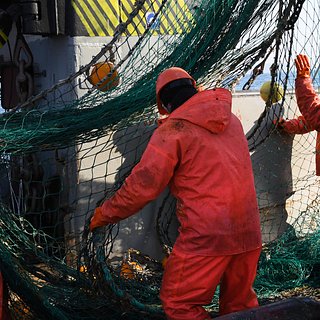 Радиоактивность рыбы в России после сброса воды с «Фукусимы» оценили