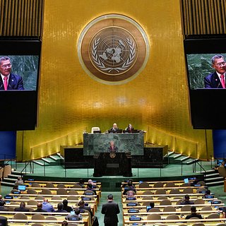 Австралия поддержала предложение ограничить право вето России в ООН