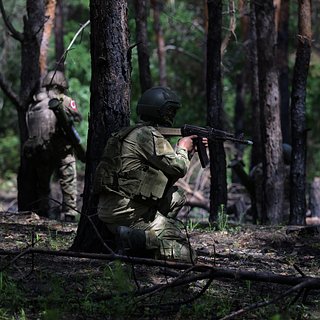 В ДНР сообщили об уничтожении украинских сил в районе Новомайорского