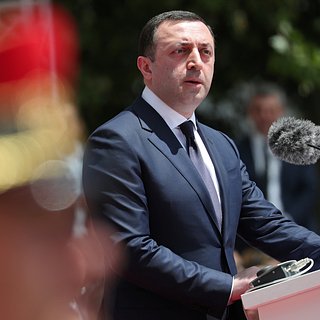 Премьер Грузии заявил о потере минимального доверия к президенту республики