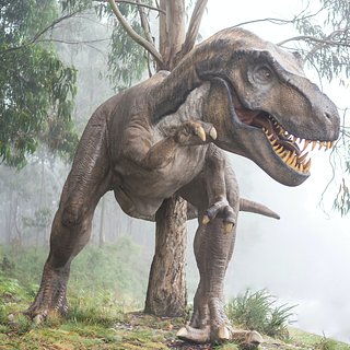 Раскрыта причина вымирания динозавров