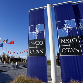 Украину предложили принять в НАТО в новых границах, без Крыма и Донбасса. Зачем Западу это нужно?