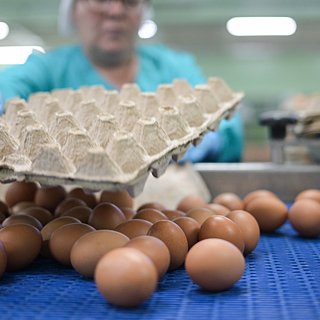 ФАС начала проверки производителей яиц и курятины