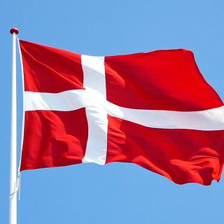 В Дании откажут в помощи вернувшимся с Украины наемникам