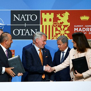 Позицию НАТО по отставке Зеленского объяснили