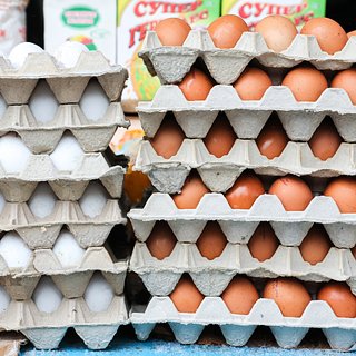 Рост цен на яйца в России объяснили