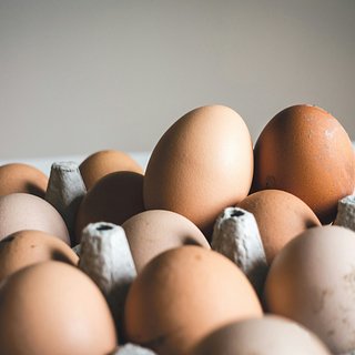 В Россию завезли 20 миллионов яиц