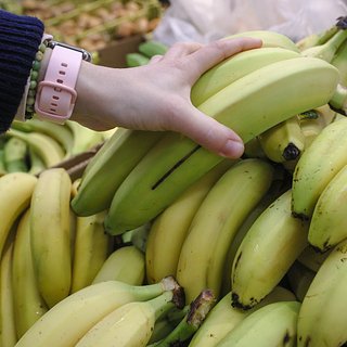 Делегация Эквадора приедет в Москву решить ситуацию с поставками бананов