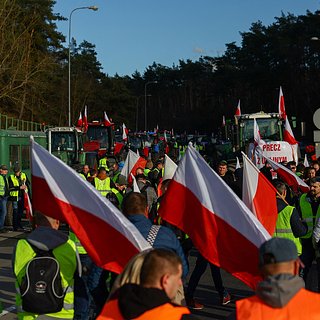 На Украине увидели «российский след» в протестах польских фермеров