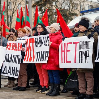 Фото: Артем Кулекин / РИА Новости