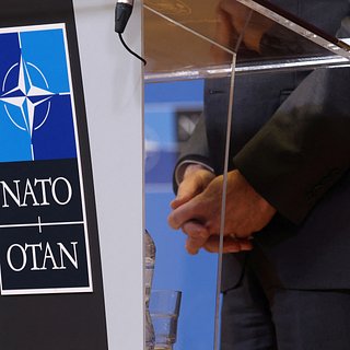 В Госдуме пообещали НАТО участь Украины в случае продолжения агрессии