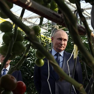 Путин рассказал о расширении поставок сельхозпродукции из России за рубеж