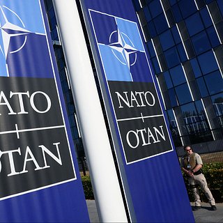 В США предложили поставить ультиматум НАТО из-за Украины