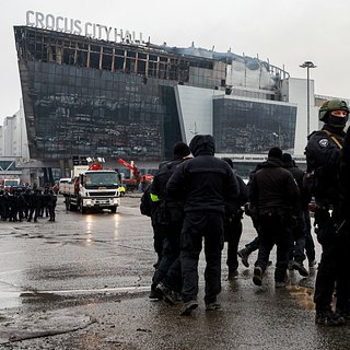 Террористов из «Крокуса» поймали и увезли в Москву. Они планировали прорваться на Украину