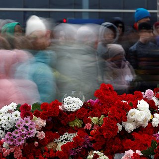 На Украине публичное выражение скорби после теракта в «Крокусе» назвали опасным