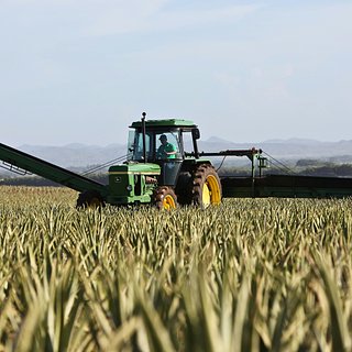 На Украине заявили о дефиците кадров в аграрном секторе из-за мобилизации