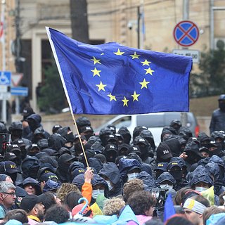 В Грузии европейские политики выступили на митинге против закона об иноагентах