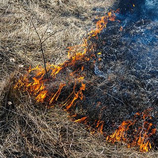 В Мелитополе обломки сбитых ракет подожгли сухую траву